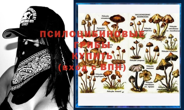 метадон Дмитровск