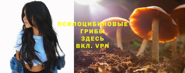твердый Дмитриев