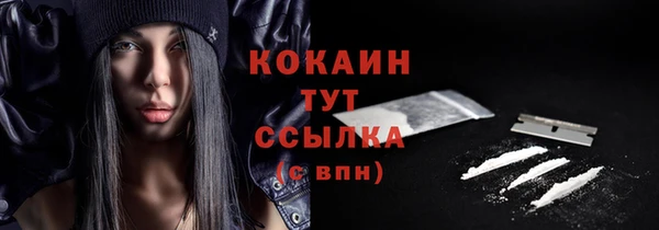 твердый Дмитриев