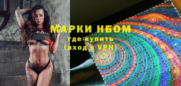 твердый Дмитриев