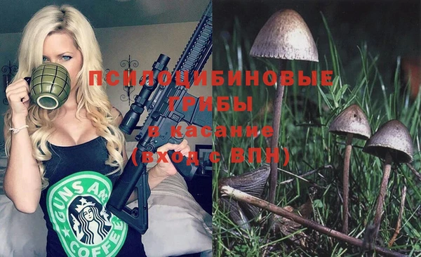 твердый Дмитриев