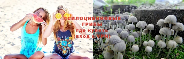 метадон Дмитровск
